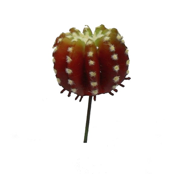 Red Ball Cactus 4in Artificial Polysilk Faux Fake Flower Pick for Craft Home Garden Outdoor Bouquet Arrangement Ceremony Wedding Arch Floral Wall Aisle Decor (Red, Set of 3)