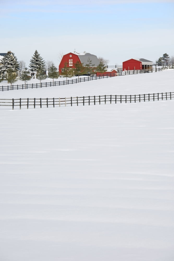 Red Barn In Winter Near Zephyr Ontario Canvas Art - Alan Marsh Design Pics (12 x 18)