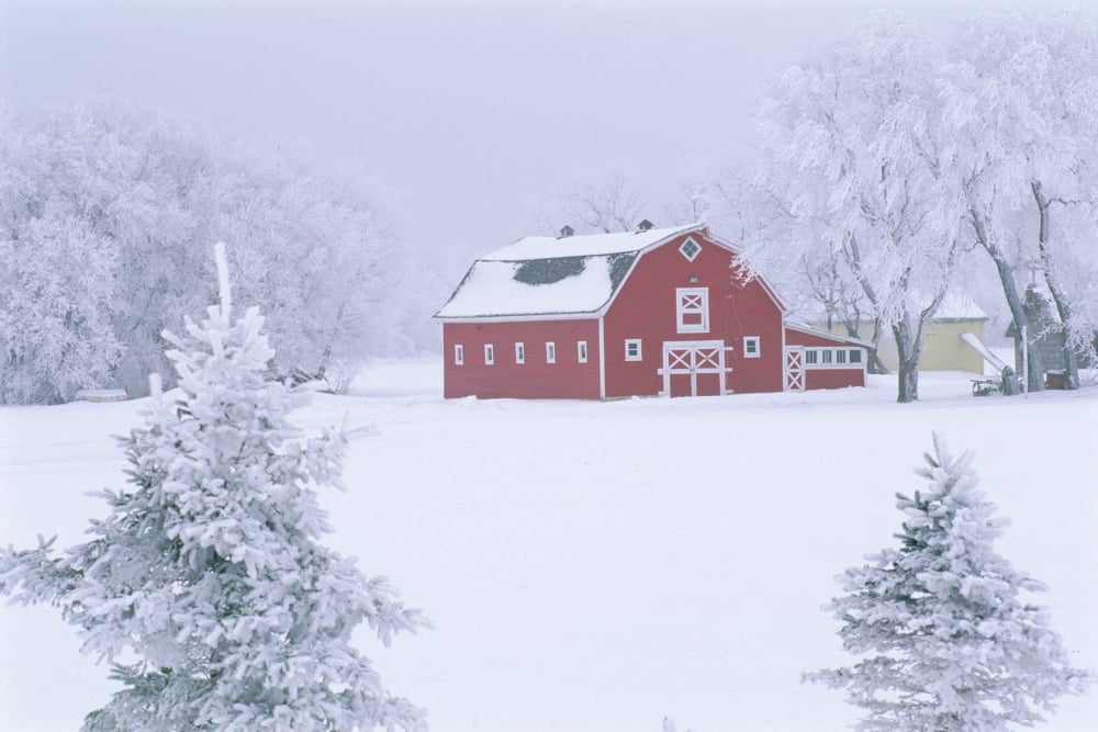 Red Barn In Winter Oakbank Manitoba Canvas Art - Mike Grandmaison Design Pics (18 x 12)