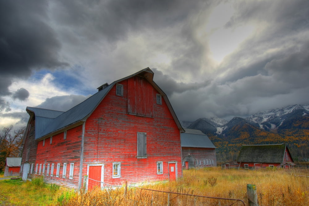 Red Barn Mt Fernie In The Background Outside Of Fernie British Columbia Canvas Art - Robert Postma Design Pics (17 x 11)