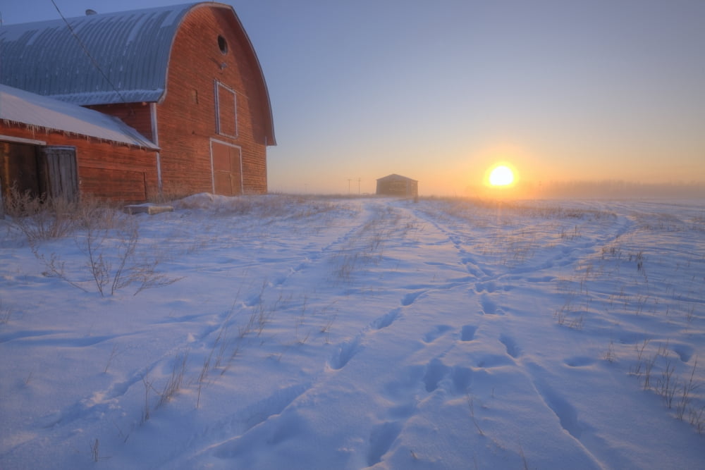 Red Barn On Very Cold Winter Morning At Sunrise Alberta Canvas Art - Dan Jurak Design Pics (17 x 11)