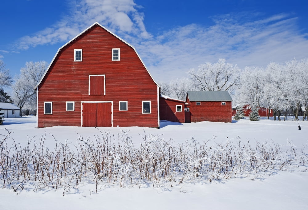 Red Barn Winter Grande Pointe Manitoba Canada Canvas Art - Dave Reede Design Pics (34 x 24)