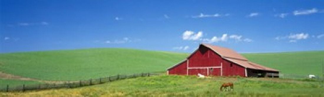 Red Barn With Horses WA Canvas Art - Panoramic Images (15 x 5)