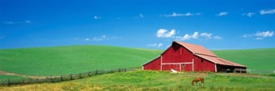 Red Barn With Horses WA Canvas Art - Panoramic Images (38 x 12)