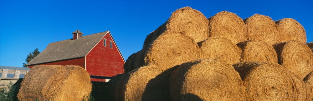Red Barn and Haystacks Idaho Falls Canvas Art - Panoramic Images (36 x 12)