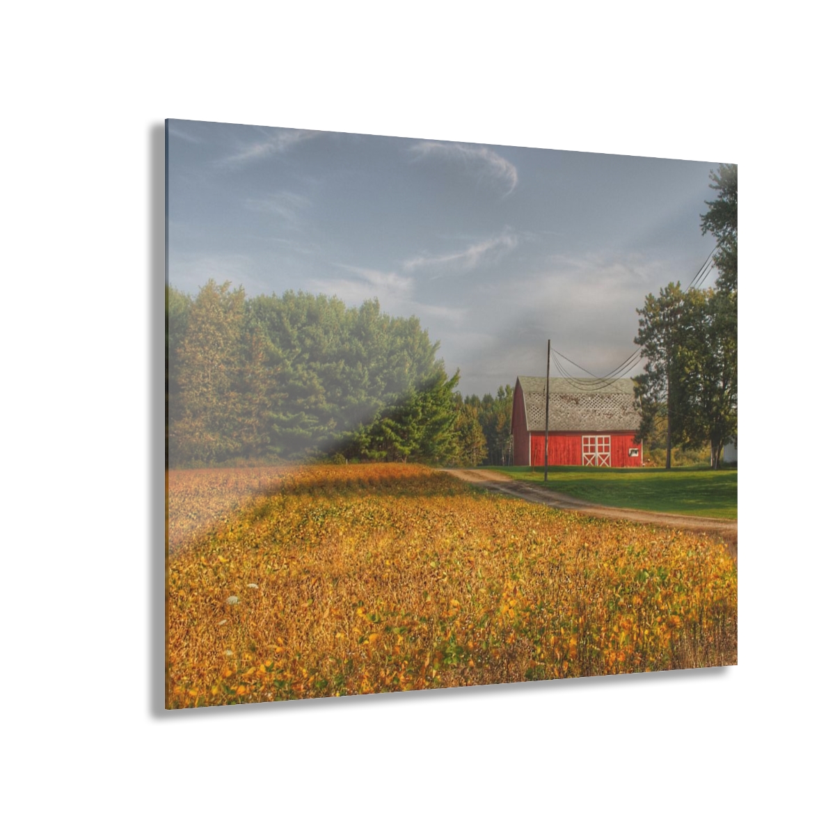 Red Barn on Golden Field Barn Boutique Modern Farmhouse Photographic