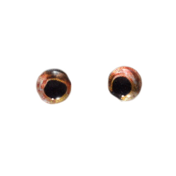 Red Bass Glass Fish Eyes
