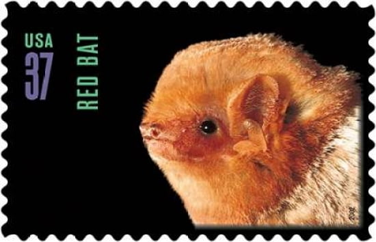 Red Bat Canvas Art - US POSTAL SERVICE (24 x 36)