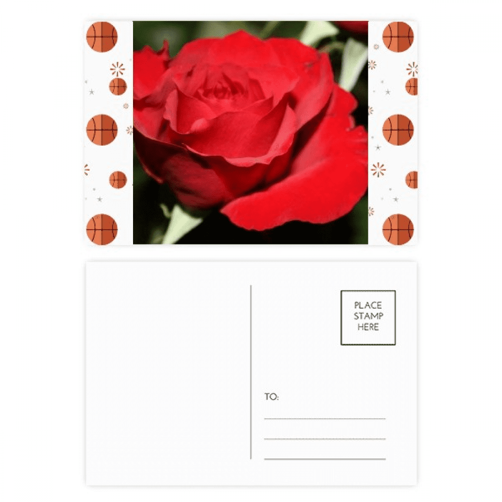 Red Big-sized Roses Flowers Basketball Postcard Set Thanks Card Mailing Side 20pcs