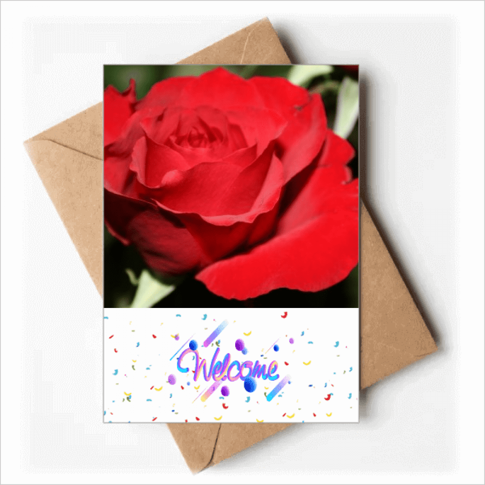 Red Big-sized Roses Flowers Welcome Back Greeting Cards Envelopes Blank