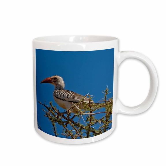 3drose, Red-billed Hornbill, Samburu Game Reserve, Kenya-af21 Aje0287 - Adam Jones, 11oz Mug