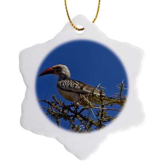 3drose, Red-billed Hornbill, Samburu Game Reserve, Kenya-af21 Aje0287 - Adam Jones, 3 inch Snowflake Porcelain Ornament