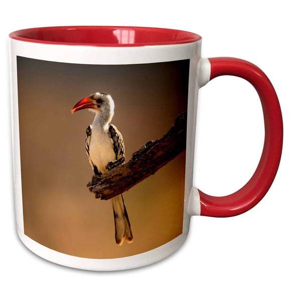 3drose, Red-billed Hornbill, Samburu Game Reserve, Kenya-af21 Aje0694 - Adam Jones, 11oz Two-tone Red Mug