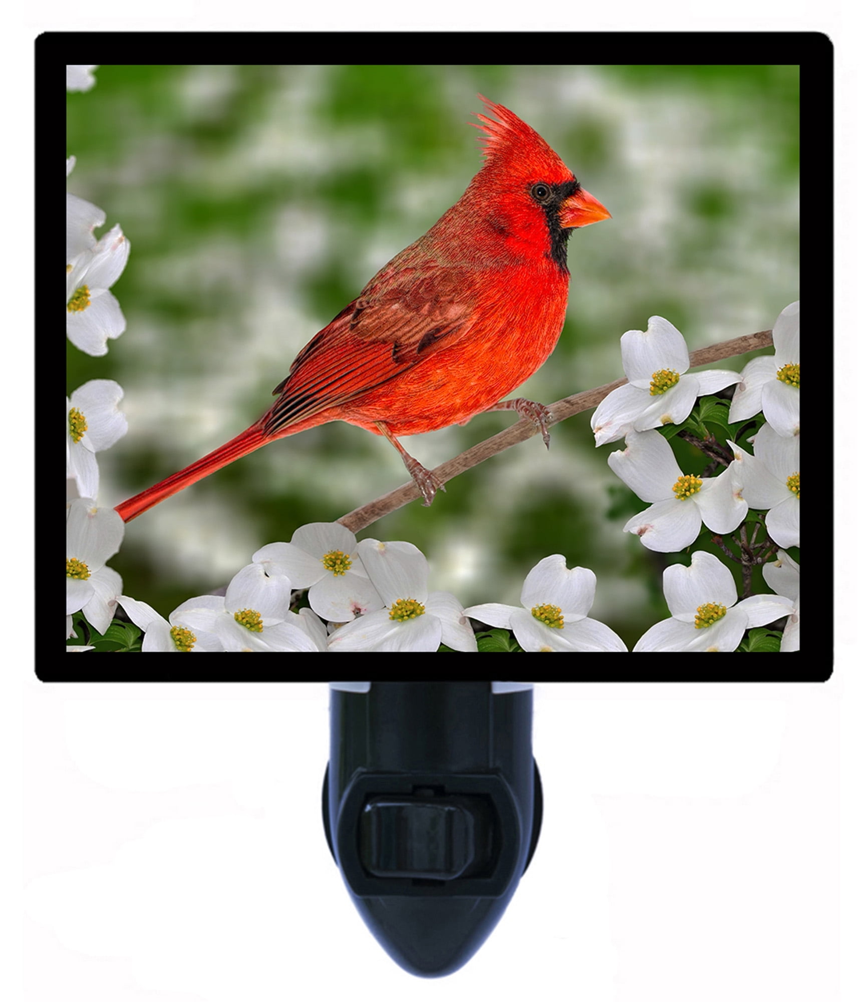 Night Light - Male Northern Cardinal. | Red Bird Theme, Includes Free Switchable Insert, 4W Bulb, E12 Base