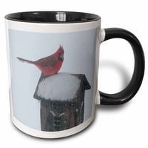 3drose, Red Bird on a Birdhouse, 11oz Two-tone Black Mug