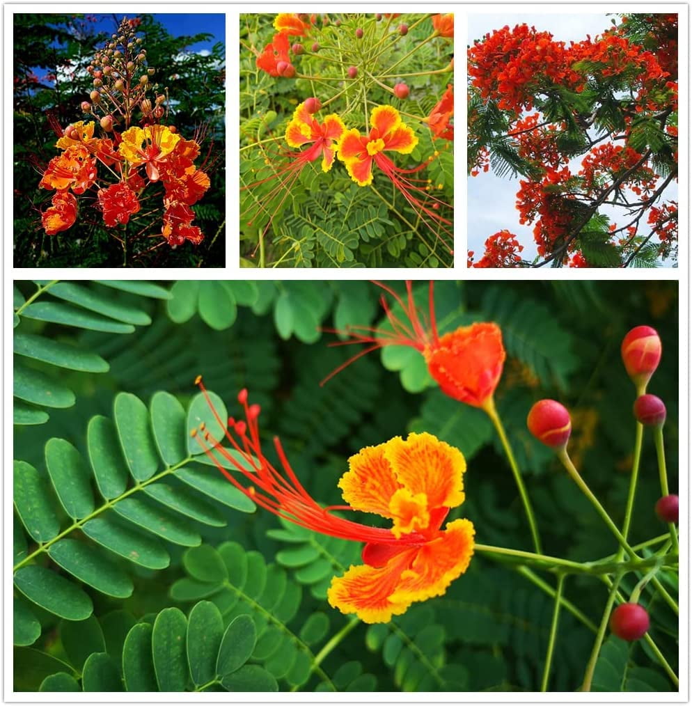 tiger lilies bouquet 3-Head Artificial Tiger Lily Flowers (85cmH)  Floral Supplies Store