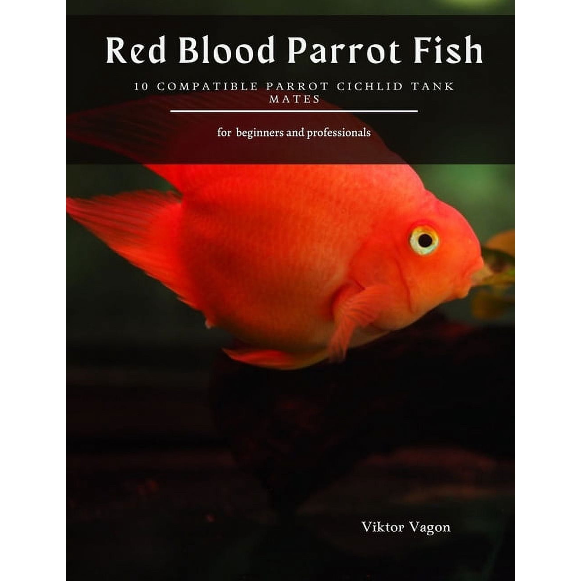Freshwater Parrot Fish Tank