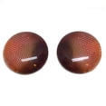 thumbnail image 1 of Red Blowfly Insect Bug Compound Glass Eyes, 1 of 7