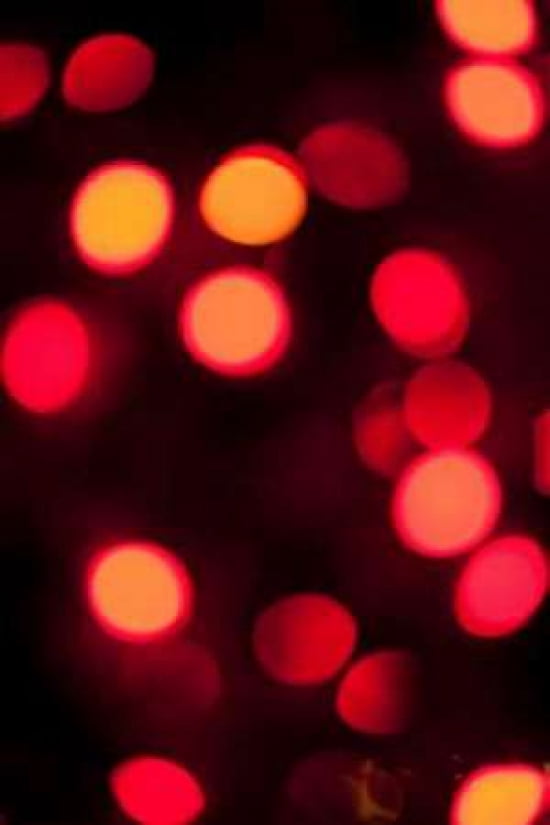 Red Bokeh Canvas Art - Erin Berzel (12 x 18)
