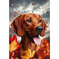 thumbnail image 1 of Red Bone Coonhound - Best of Breed Fall Leaves Outdoor House Flag 28" x 40" Mailbox Flag Dog Flag, 1 of 1