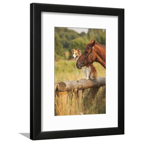 Red Border Collie Dog and Horse, Framed Art Print Wall Art by Ksuksa Sold by Art.Com