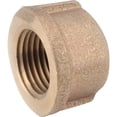 thumbnail image 1 of Anderson Metals Corp. Threaded Pipe Cap Brass Plumbing Thread Cap - 1 in, Metal, Smooth Finish, 1 of 3