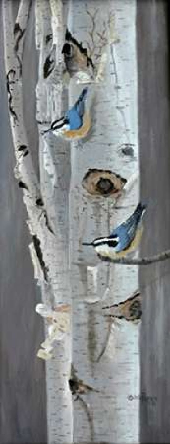 Red Breasted Nuthatch Canvas Art - Julie Peterson (10 x 20)