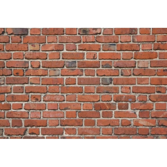 Red Brick Wall Photography Background Art Room Decoration Birthday Party Portrait Custom Backdrop For Photo Studio