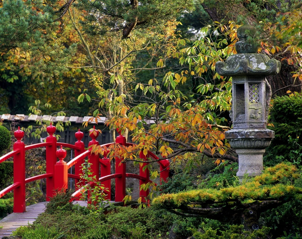 Red Bridge & Japanese Lantern Autumn Japanese Gardens Co Kildare Ireland Canvas Art - The Irish Image Collection Design Pics (16 x 12)