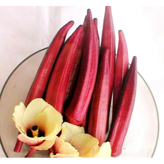 Red Burgundy Okra Seeds/ Perennial/ Full Sun/ 2400 Seeds 1/4lb/ Zellajake Farm and Garden - B264