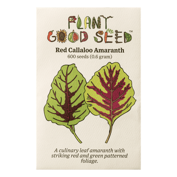Plant Good Seed Organic Red Callaloo Amaranth Seeds for Planting: Heat Tolerant Summer Leafy Green, 600 Seed Packet