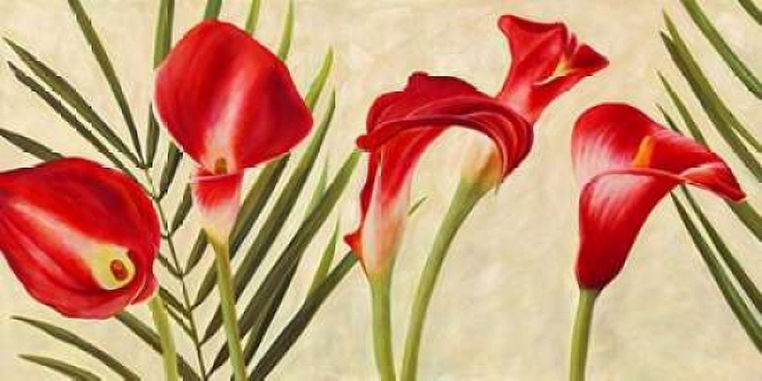 Red Callas Canvas Art - Jenny Thomlinson (24 x 48)