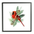 thumbnail image 1 of Red Cardinal Pine Branch Minimal Bird Portrait Animals & Insects Framed Art Print Wall Art, 17x17, 1 of 8