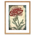 thumbnail image 1 of Red Carnation Flower Bloom Watercolour Art Nouveau Artwork Framed Wall Art Print 9X7 Inch, 1 of 5
