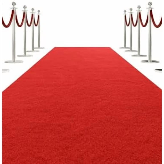 Red Carpet Runner for Party 3 x 10 ft, Thick Hollywood Aisle Rugs for Proms Wedding Events, Size Indoor Outdoor Hallway Rug with TPR Backing for Entryway$$Home Decor, Kitchen, & Other