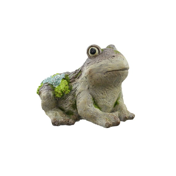 Red Carpet Studios Planter Frog Moss