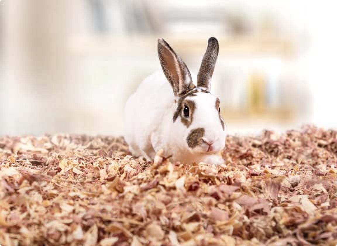Red Cedar Pet Bedding for Rabbits, Dogs, Cats, Chinchilla All Natural
