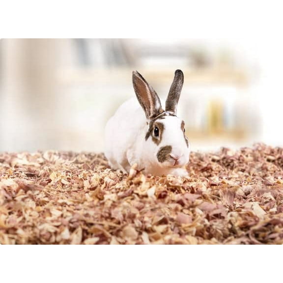 Red Cedar Pet Bedding for Rabbits, Dogs, Cats, Chinchilla - All Natural Cozy Pet Bedding (3 Quarts)