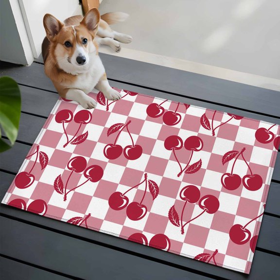 Red Cherries Front Door Rugs 2x3 ft Pink Plaid Abstract Fruit Modern Style Simple Small Rug for Entryway Non Slip Washable Bathroom Door Mat Absorbent Floor Mat for Indoor Entrance