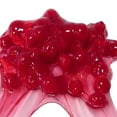 thumbnail image 1 of Red Cherry Slime Toy for Kids Stretchy, Squishy, Non-Toxic DIY Stress Relief Putty with Realistic Texture and Design, 1 of 3