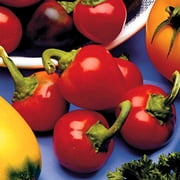 Red Cherry Sweet Pepper Garden Seeds - 500 g Packet ~60 Seeds - Non-GMO, Heirloom - Small Red Bell Peppers for Pickling or Salad - Vegetable Gardening Seed