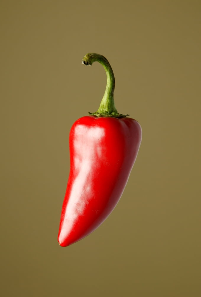 Red Chili Pepper Canvas Art - Darren Greenwood Design Pics (11 x 16)