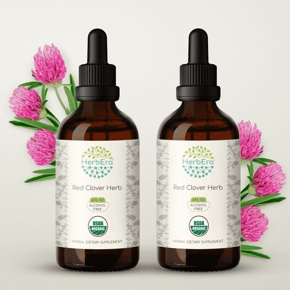 HerbEra Red Clover Herb Tincture, Organic Herbal Dietary Supplement for Women’s Support, Certified Organic Red Clover Herb (Trifolium pratense) Dried Leaf and Flower Extract, Alcohol-Free, 2x4 oz