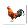 thumbnail image 1 of Red Cock Beautiful Rooster White Brown Tail Chicken Portrait Bird Side Male Farm Mousepad Mouse Pad Mouse Mat 9x10 inch, 1 of 3