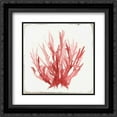 thumbnail image 1 of Red Coral I 2x Matted 20x20 Black Ornate Framed Art Print by Wilson, Aimee, 1 of 2