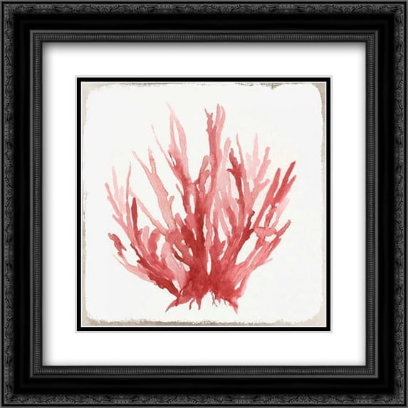 Red Coral I 2x Matted 20x20 Black Ornate Framed Art Print by Wilson, Aimee