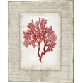 thumbnail image 1 of Red Coral II Border by Aimee Wilson, Canvas Wall Art, 16W x 20H, 1 of 2