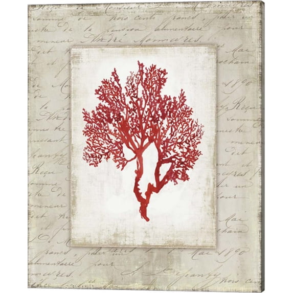 Red Coral II Border by Aimee Wilson, Canvas Wall Art, 16W x 20H