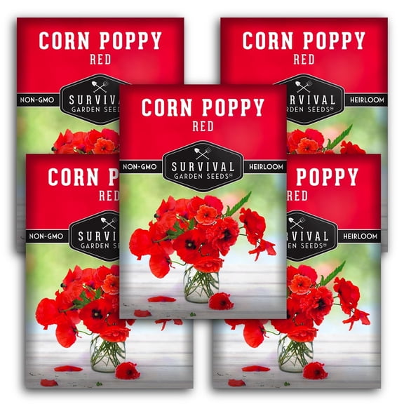 Red Corn Poppy Flower Seeds - Full Sun Annual - 5 Pack