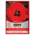 thumbnail image 1 of Red Corn Poppy Seeds, 1 of 7